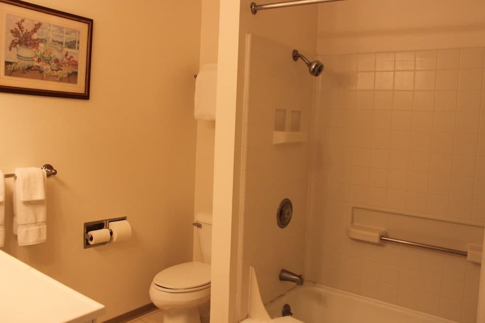 Photo 51