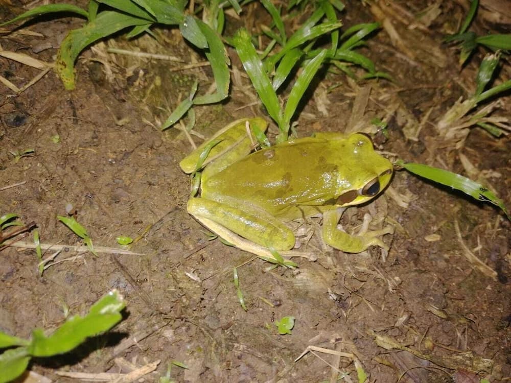 Photo 48