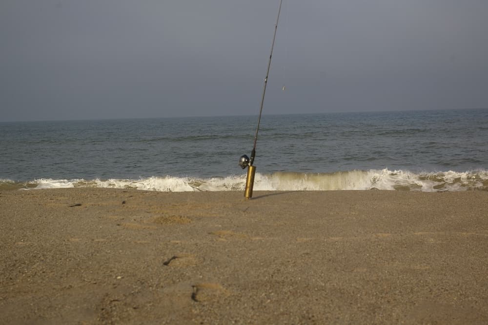 Photo 30