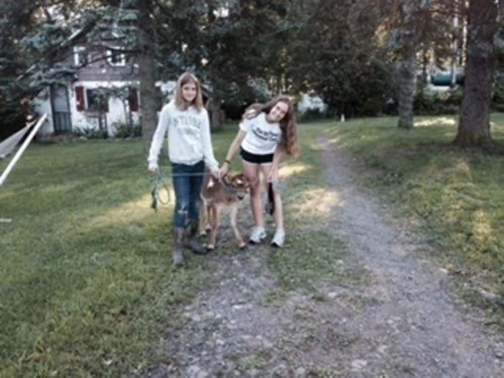 Photo 31