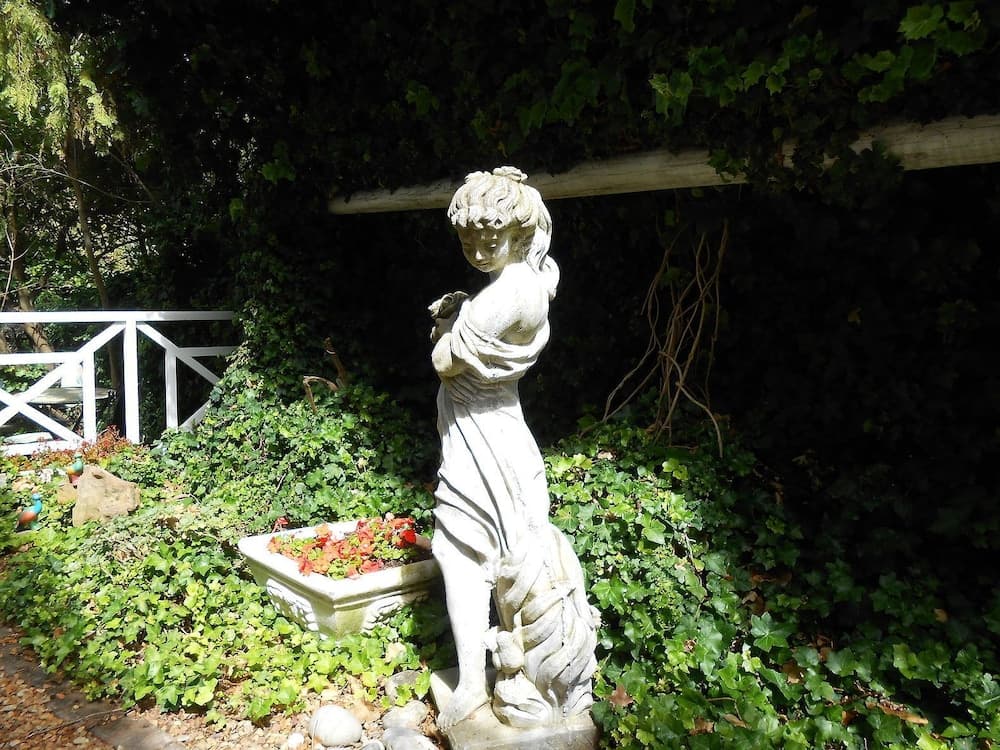 Photo 37