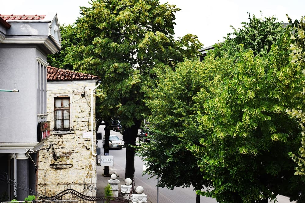 Photo 47
