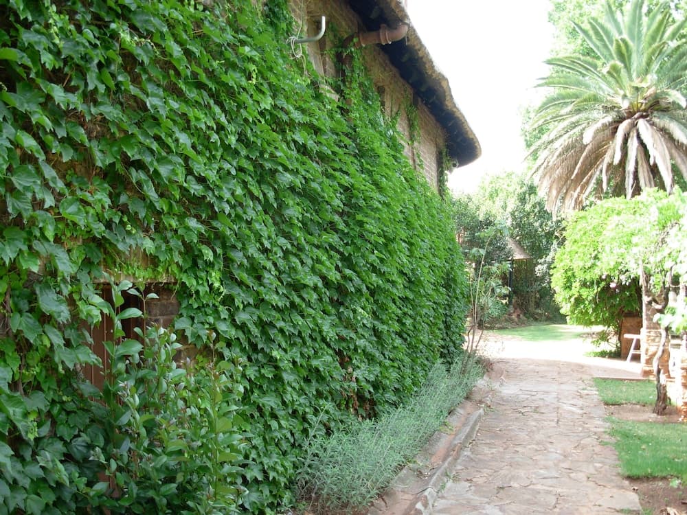 Photo 22