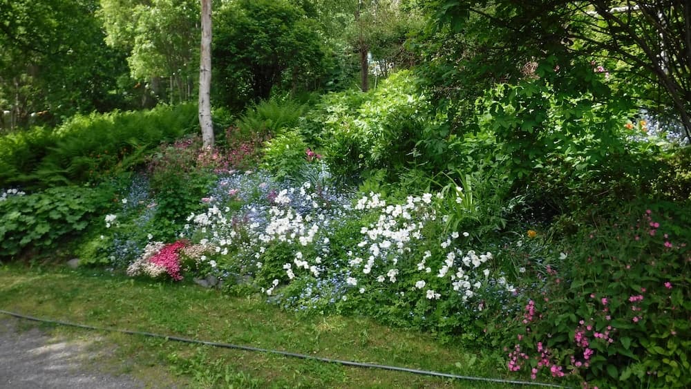 Photo 46