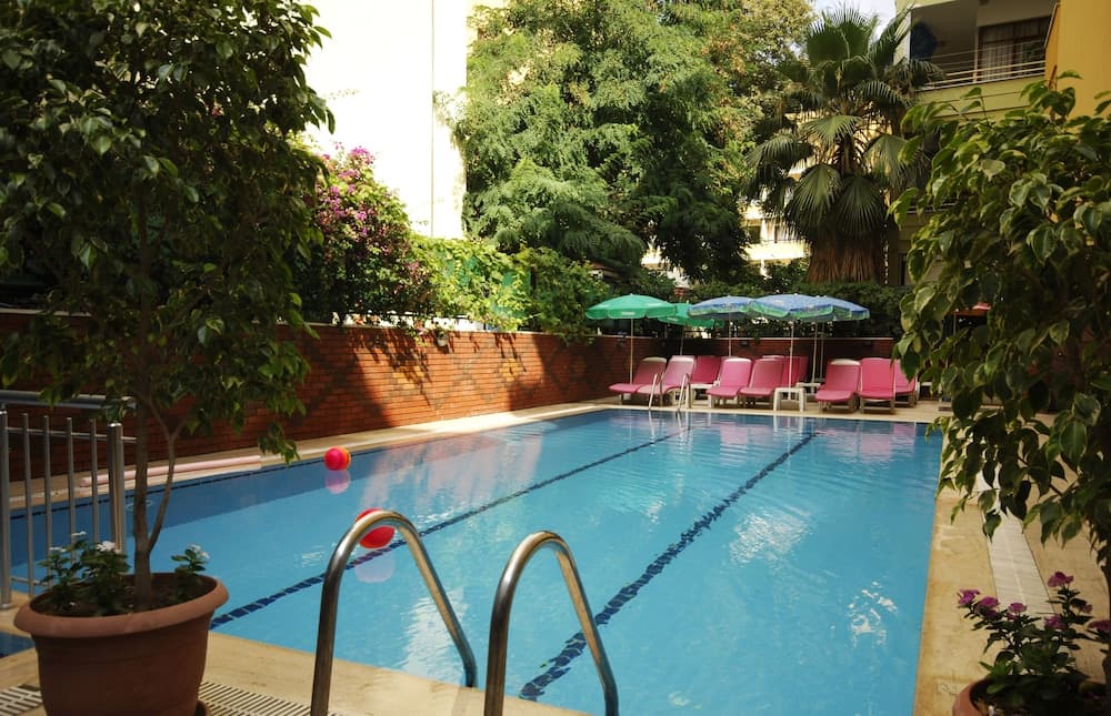 Photo 8