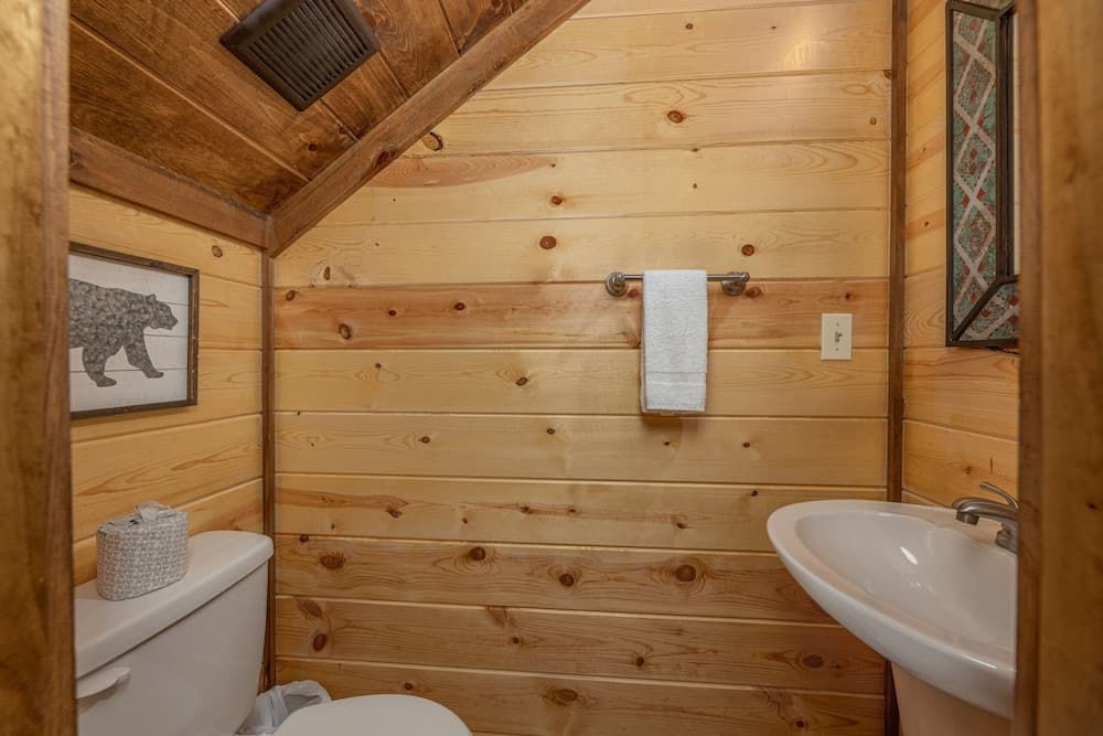 Photo 41