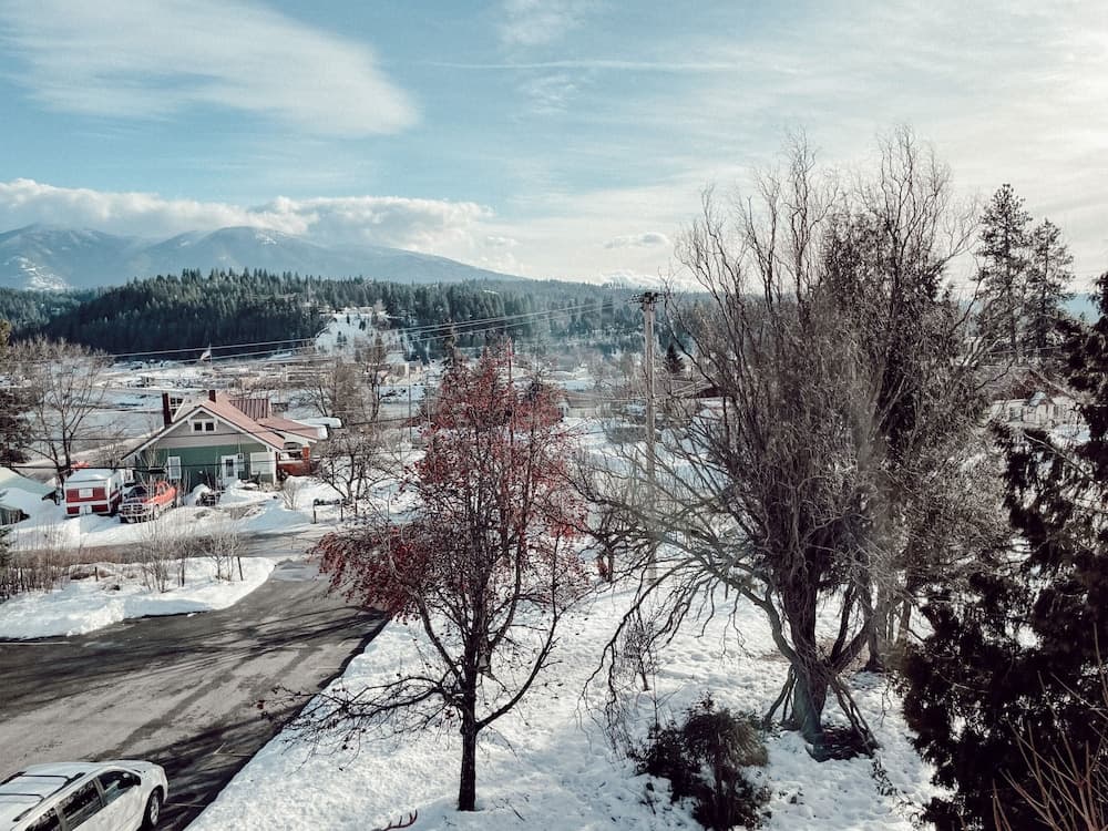 Photo 43