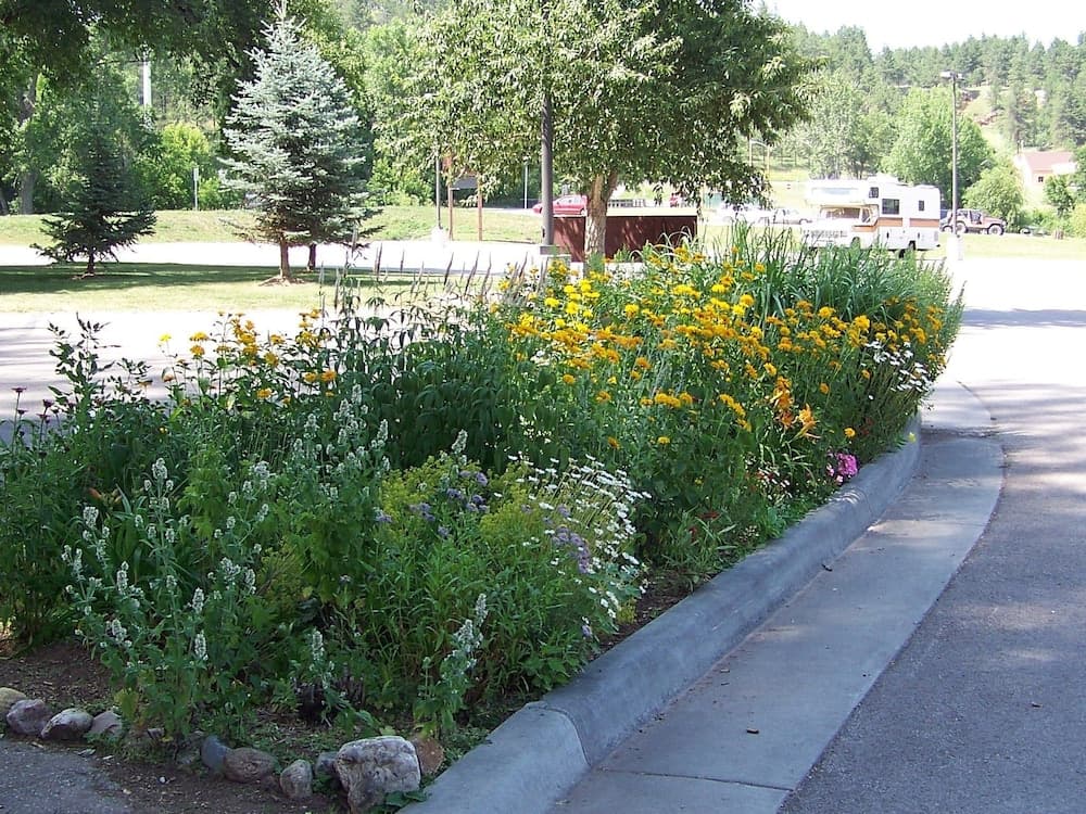 Photo 20