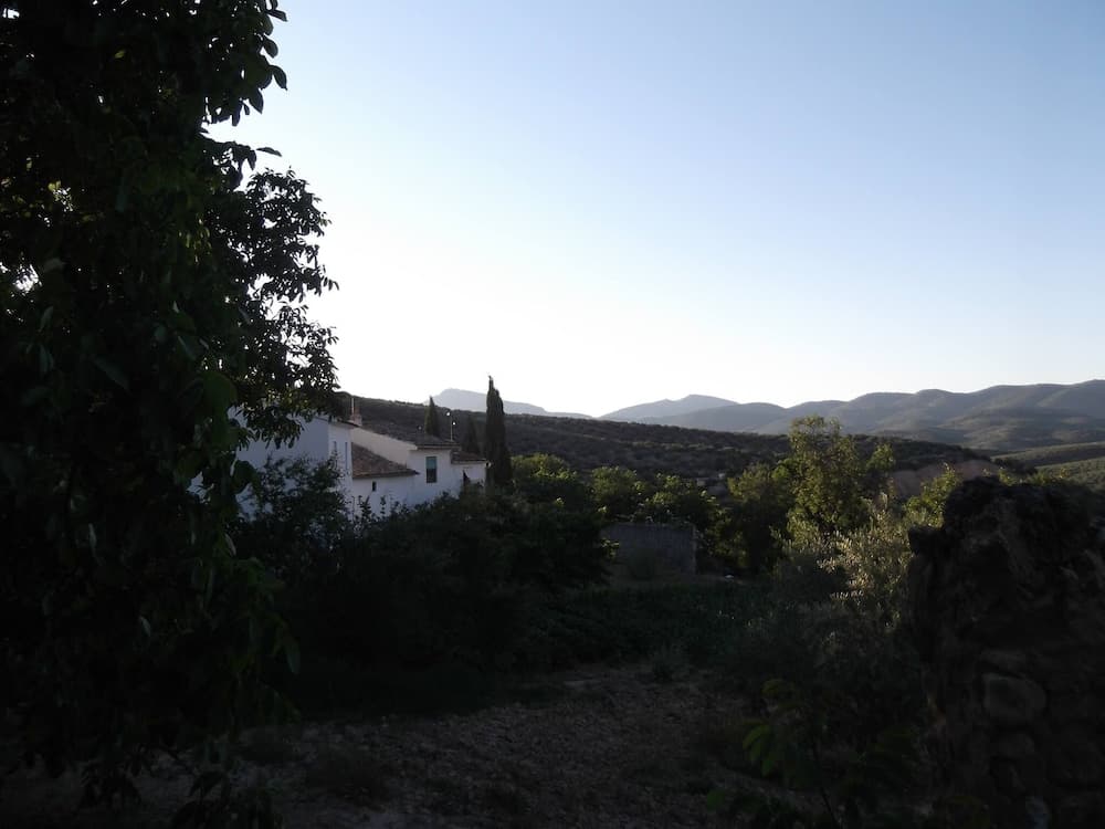 Photo 25