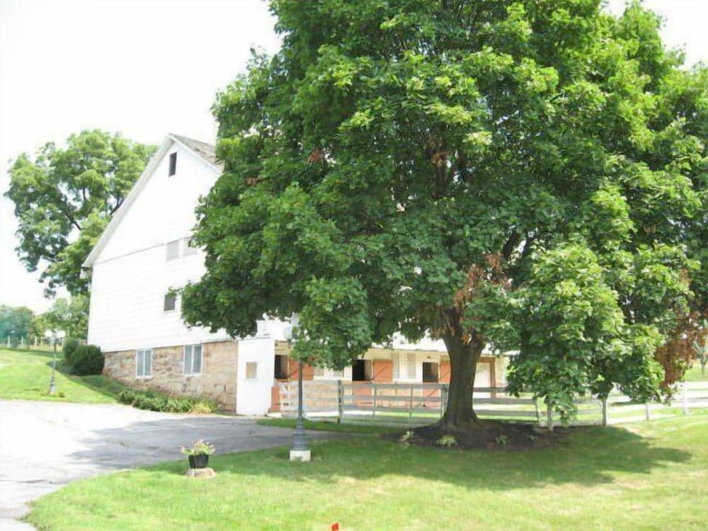 Photo 38