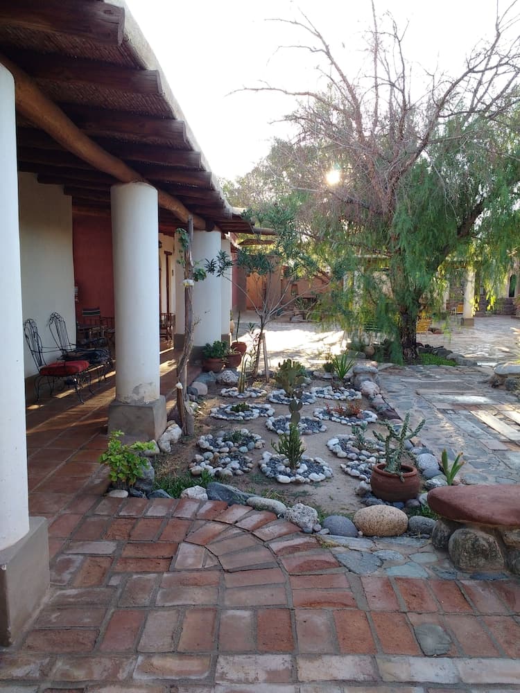 Photo 11